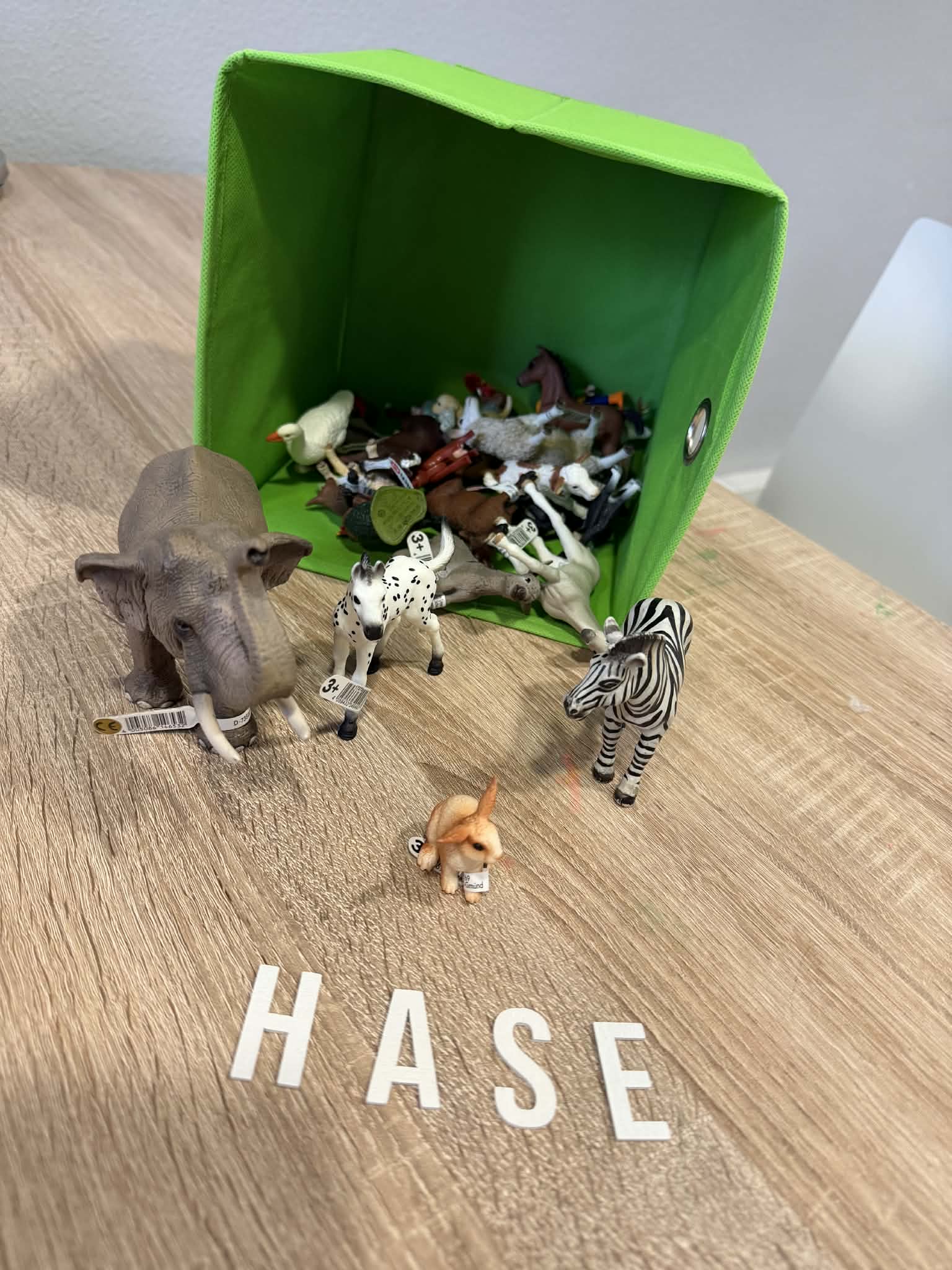 ed25ee43-7bc0-4384-95e2-db05325974ca